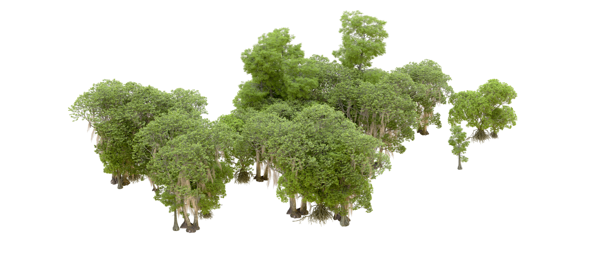 Green forest isolated on background. 3d rendering - illustration png
