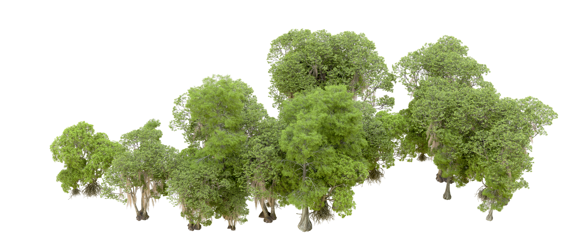 Green forest isolated on background. 3d rendering - illustration png