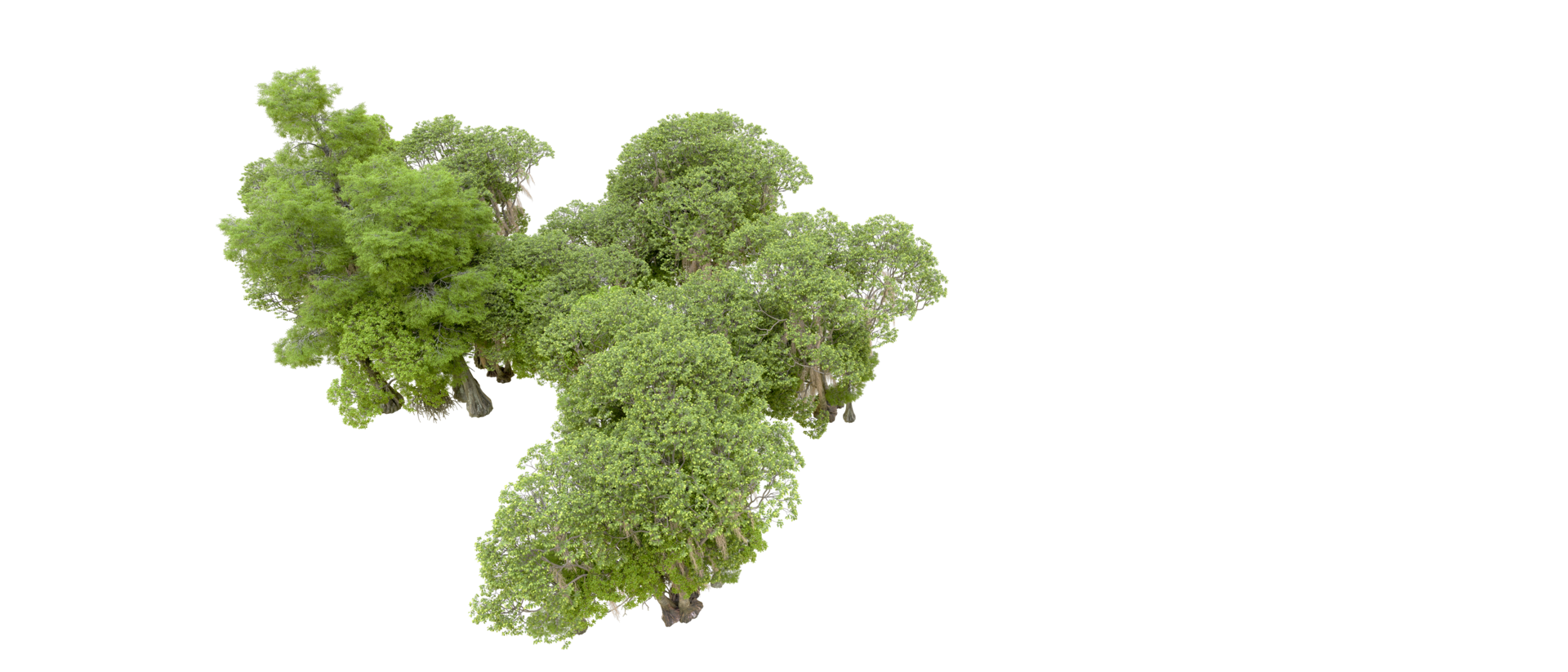 Green forest isolated on background. 3d rendering - illustration png