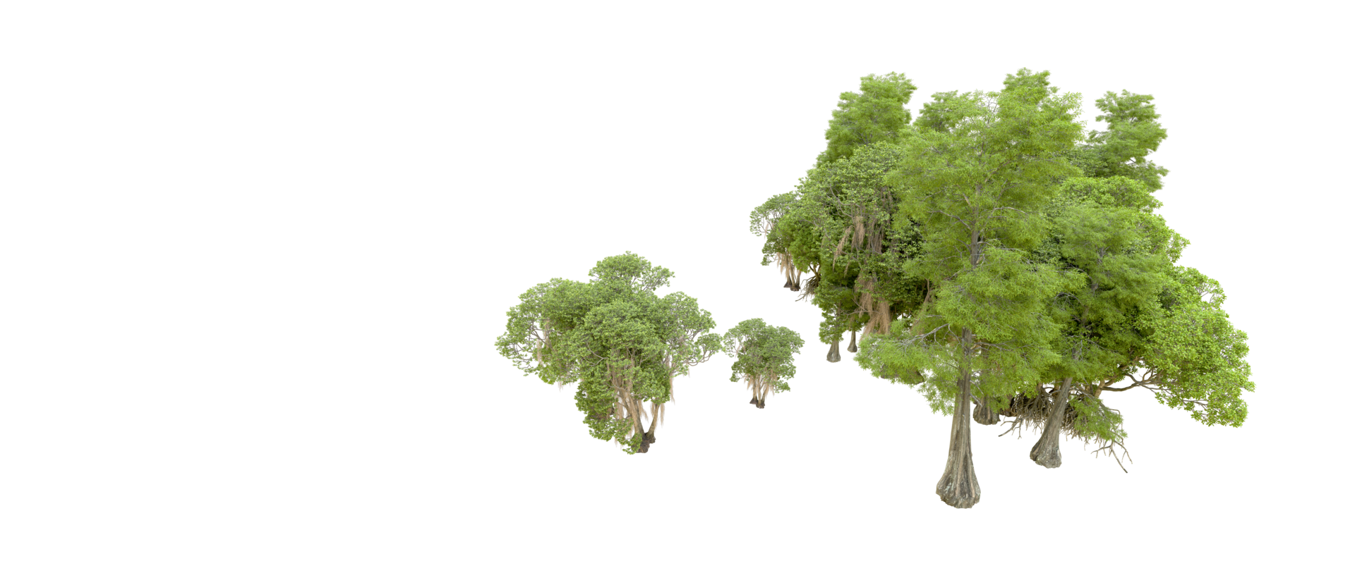 Green forest isolated on background. 3d rendering - illustration png