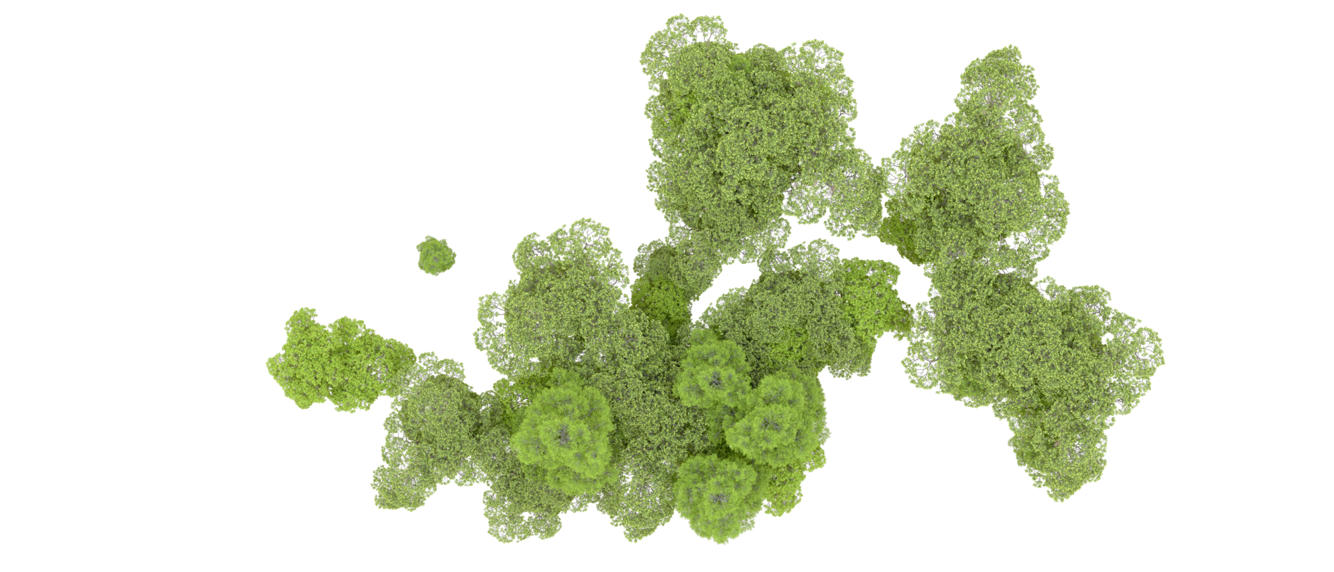 Green forest isolated on background. 3d rendering - illustration png