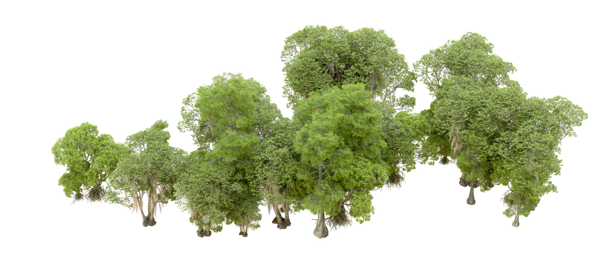 Green forest isolated on background. 3d rendering - illustration png