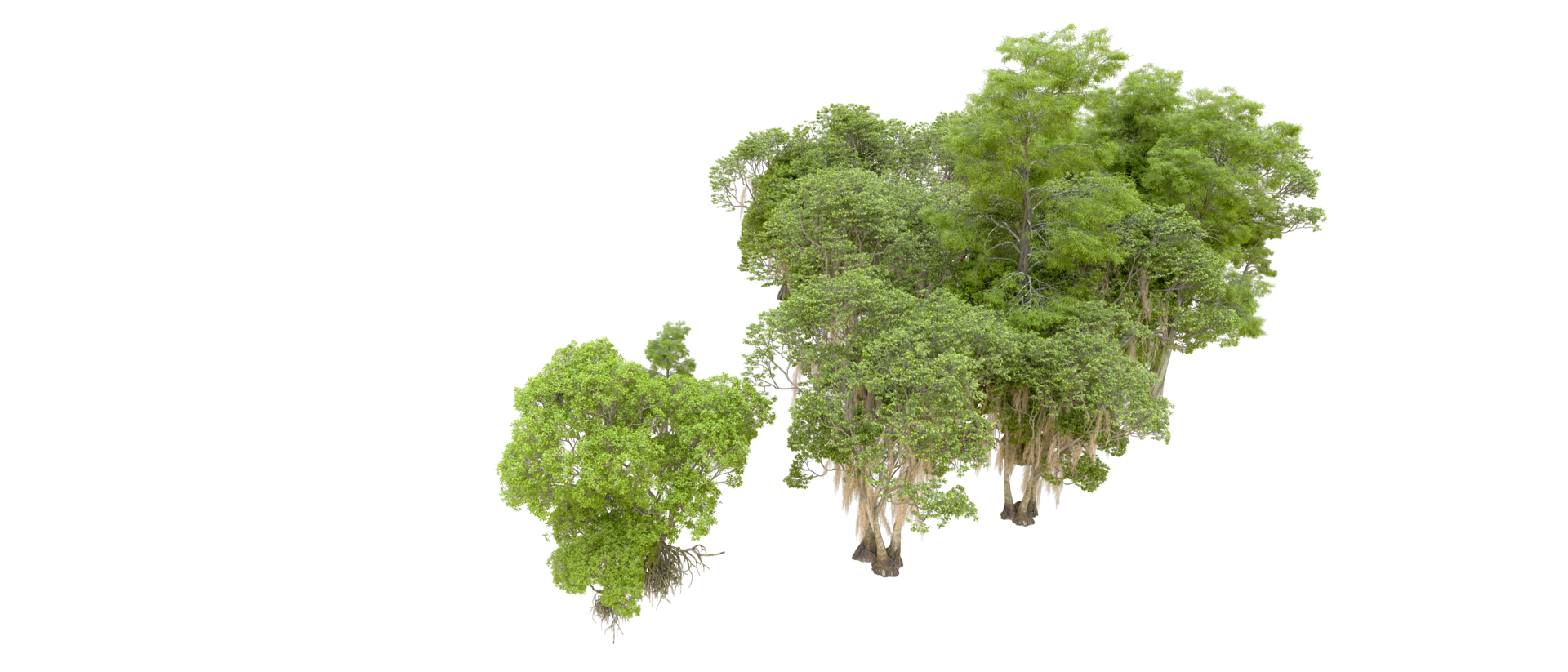 Green forest isolated on background. 3d rendering - illustration png