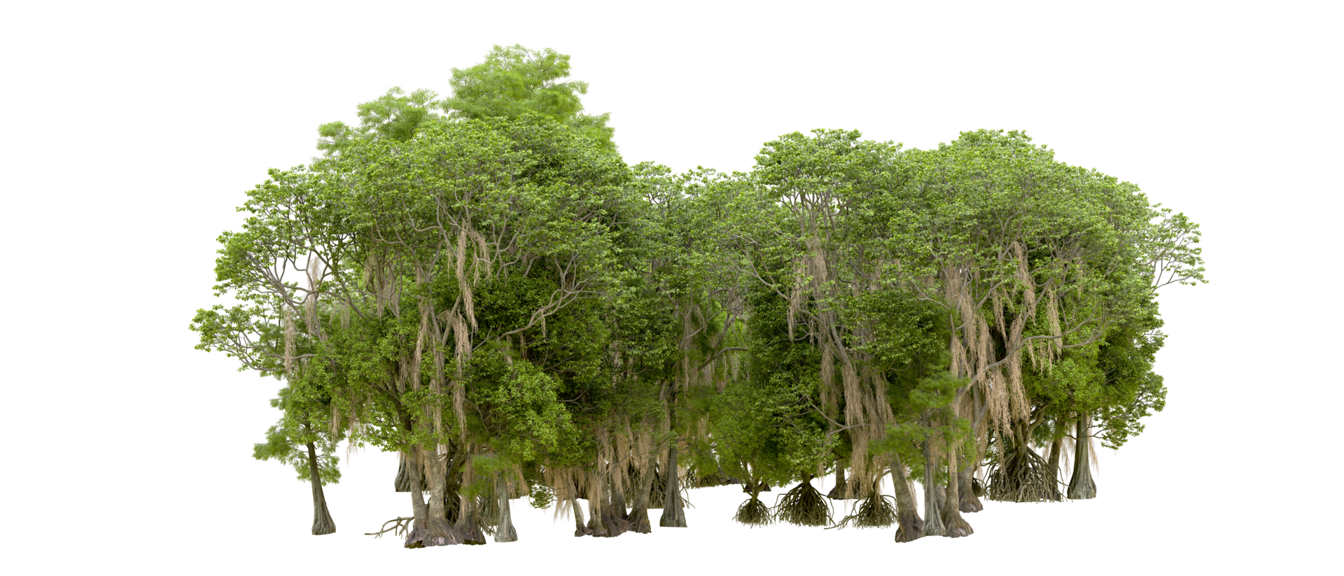 Green forest isolated on background. 3d rendering - illustration png