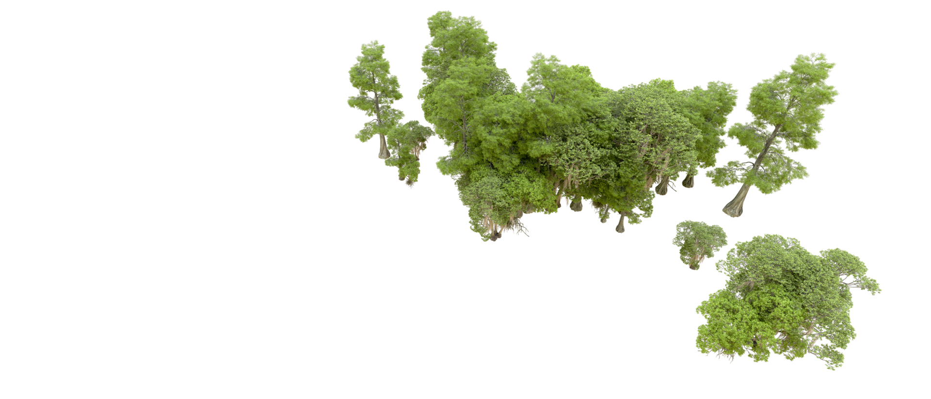 Green forest isolated on background. 3d rendering - illustration png