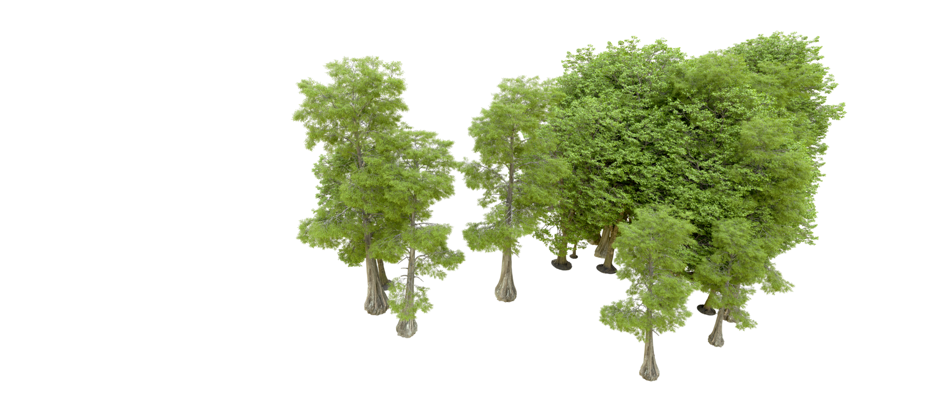 Green forest isolated on background. 3d rendering - illustration png