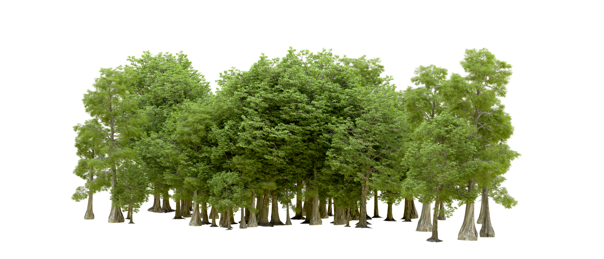 Green forest isolated on background. 3d rendering - illustration png