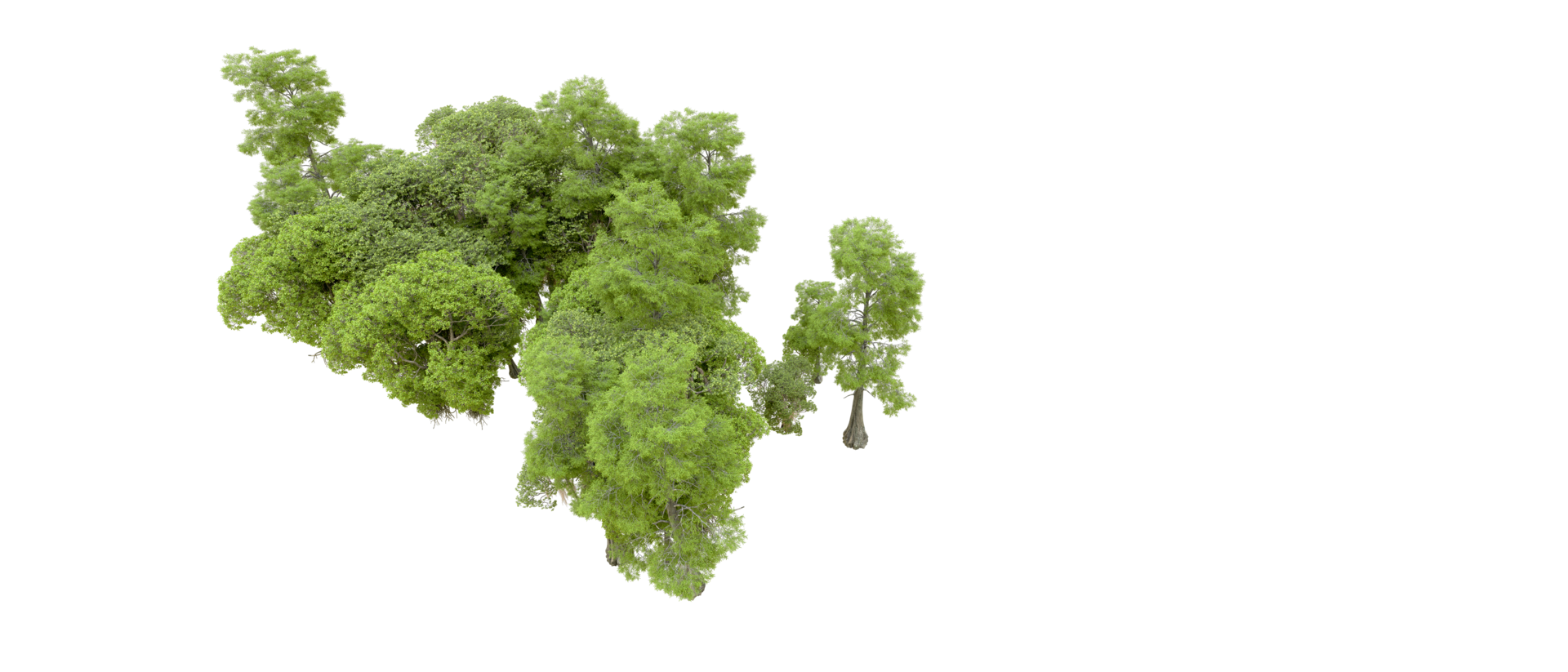 Green forest isolated on background. 3d rendering - illustration png