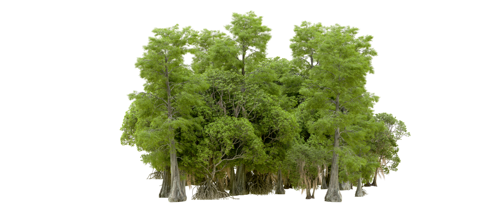 Green forest isolated on background. 3d rendering - illustration png