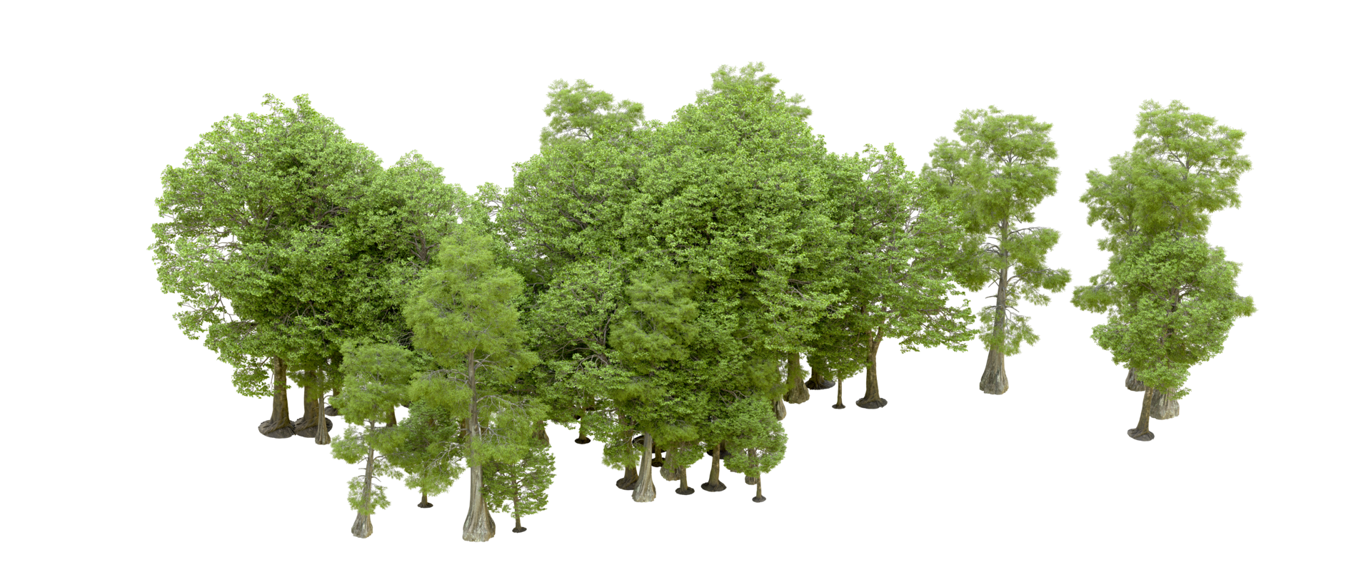 verde bosque aislado en antecedentes. 3d representación - ilustración png