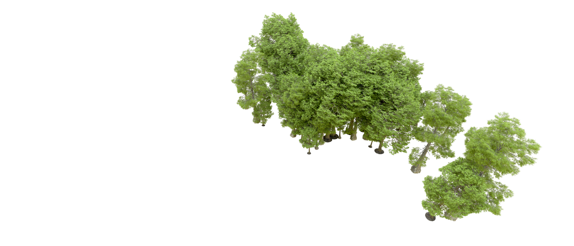 Green forest isolated on background. 3d rendering - illustration png