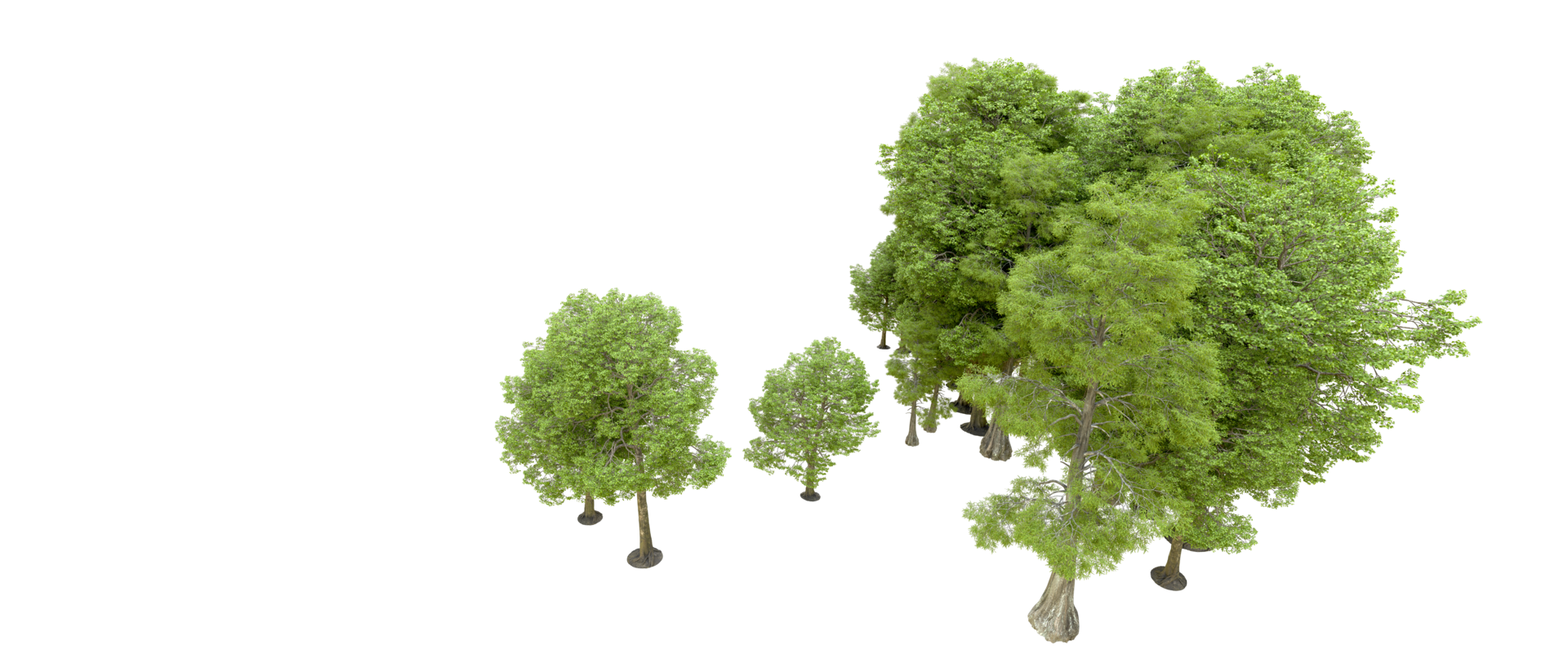 verde bosque aislado en antecedentes. 3d representación - ilustración png