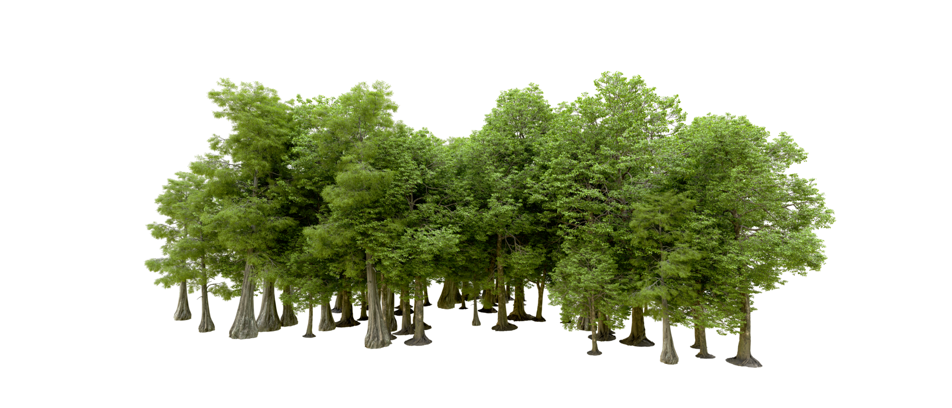 Green forest isolated on background. 3d rendering - illustration png