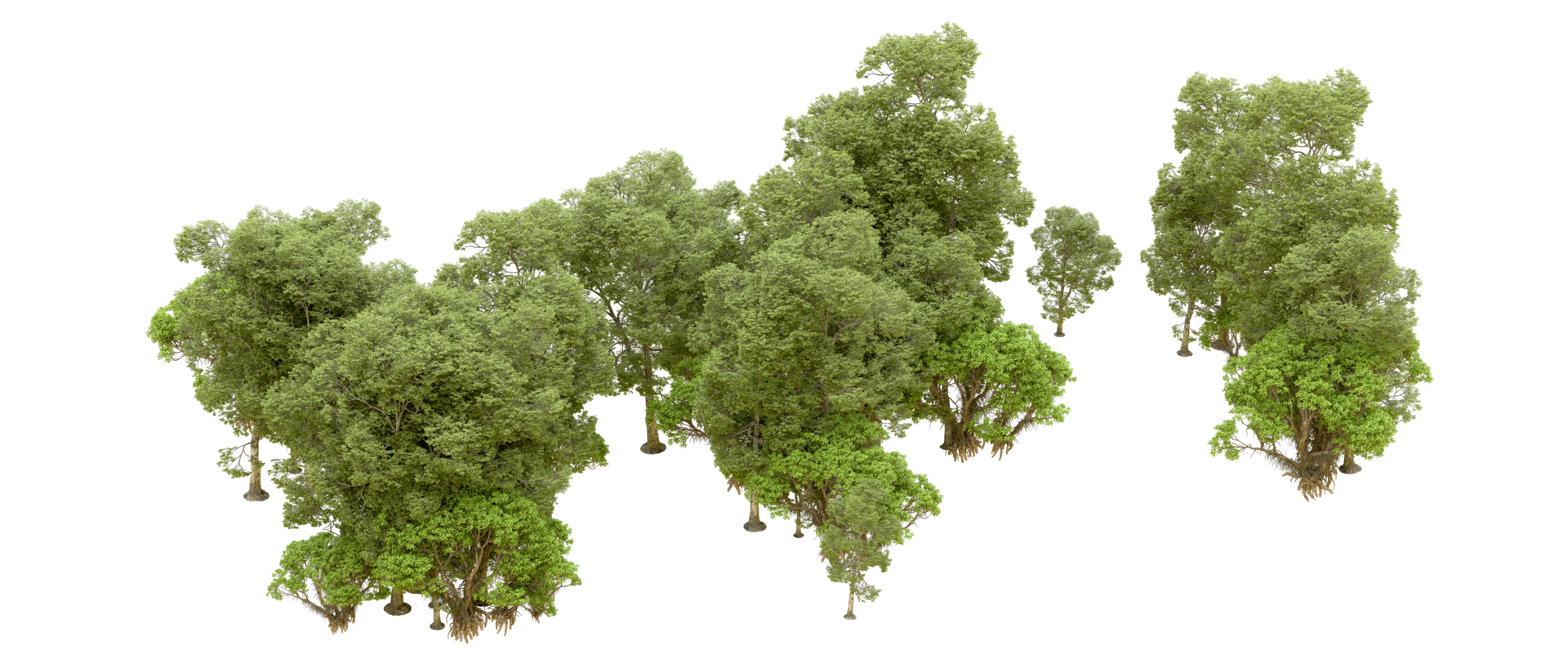 Green forest isolated on background. 3d rendering - illustration png