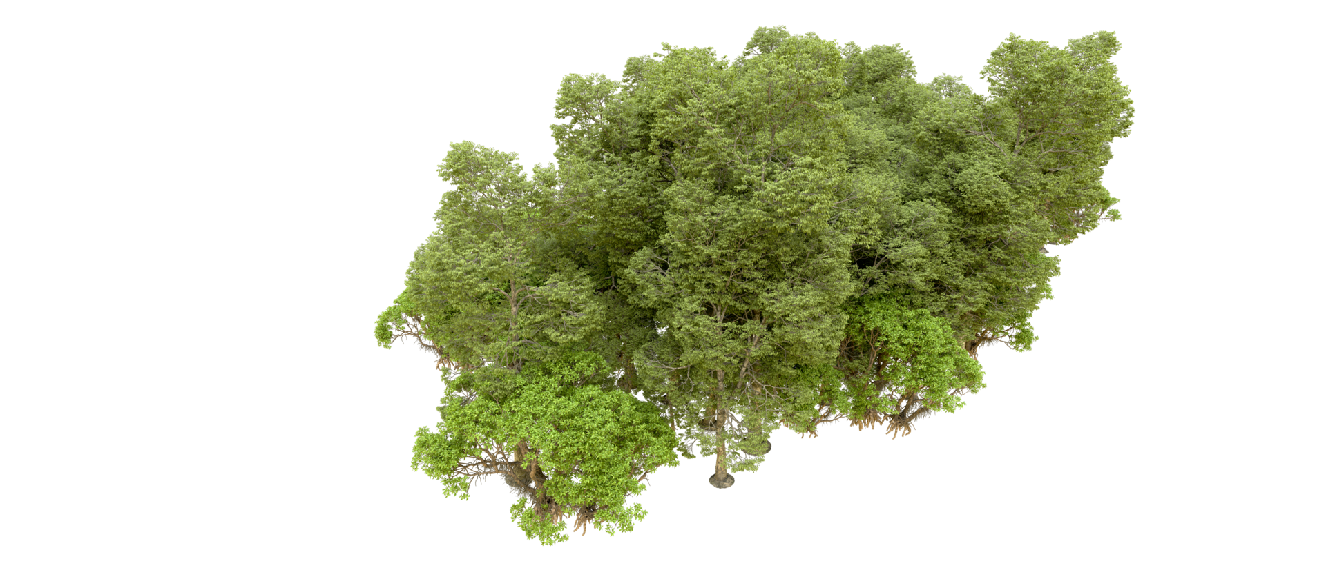 Green forest isolated on background. 3d rendering - illustration png