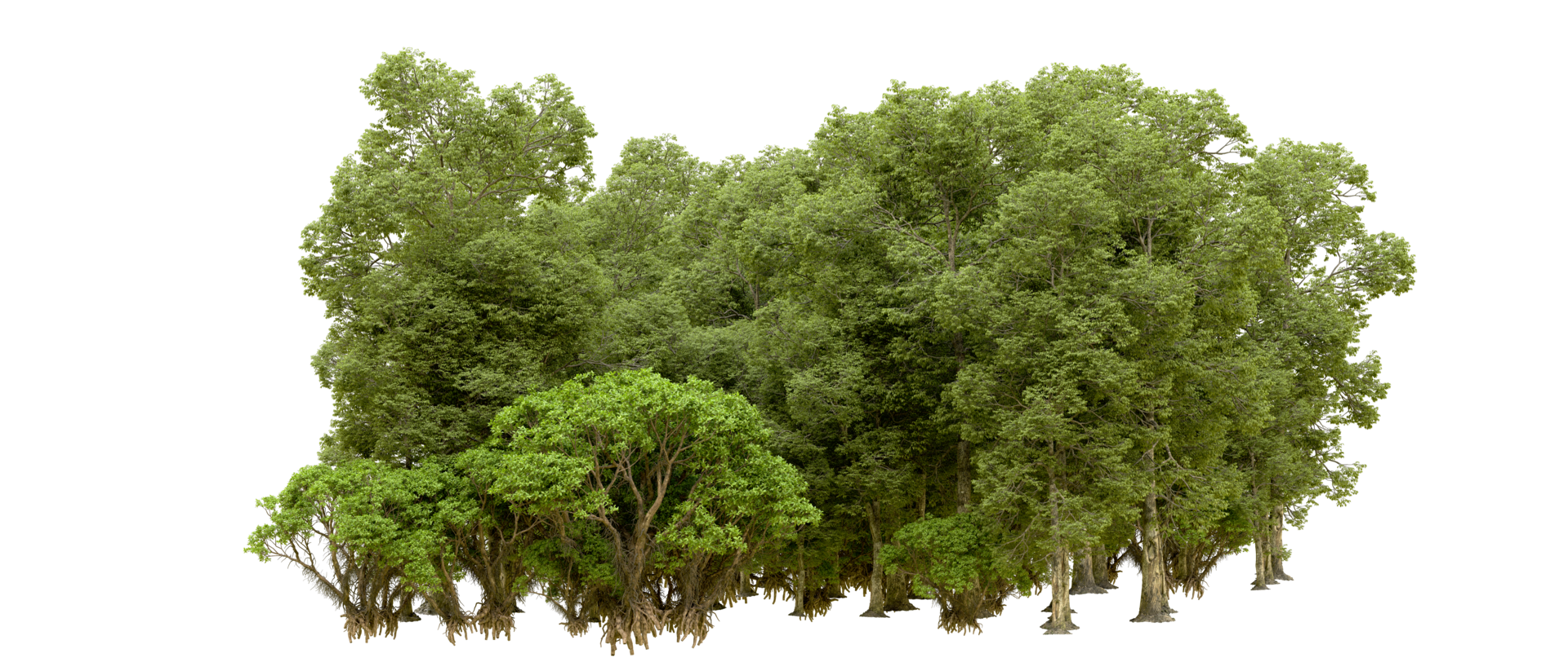 Green forest isolated on background. 3d rendering - illustration png