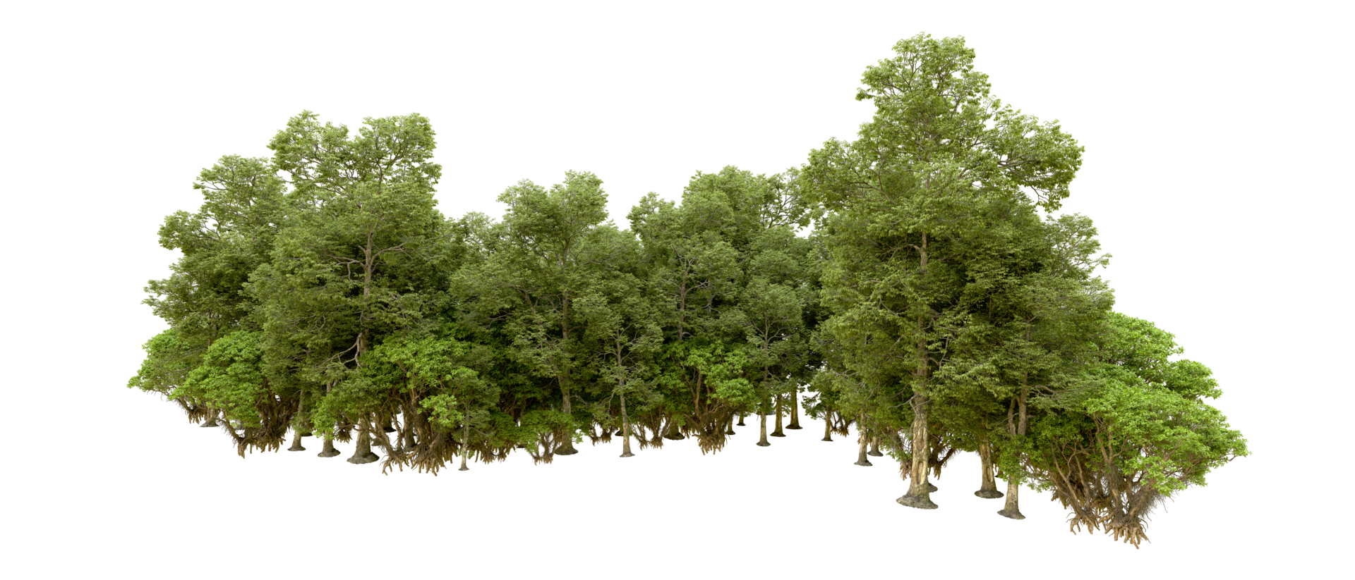 Green forest isolated on background. 3d rendering - illustration png