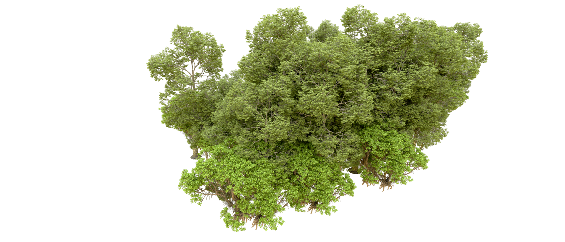 Green forest isolated on background. 3d rendering - illustration png