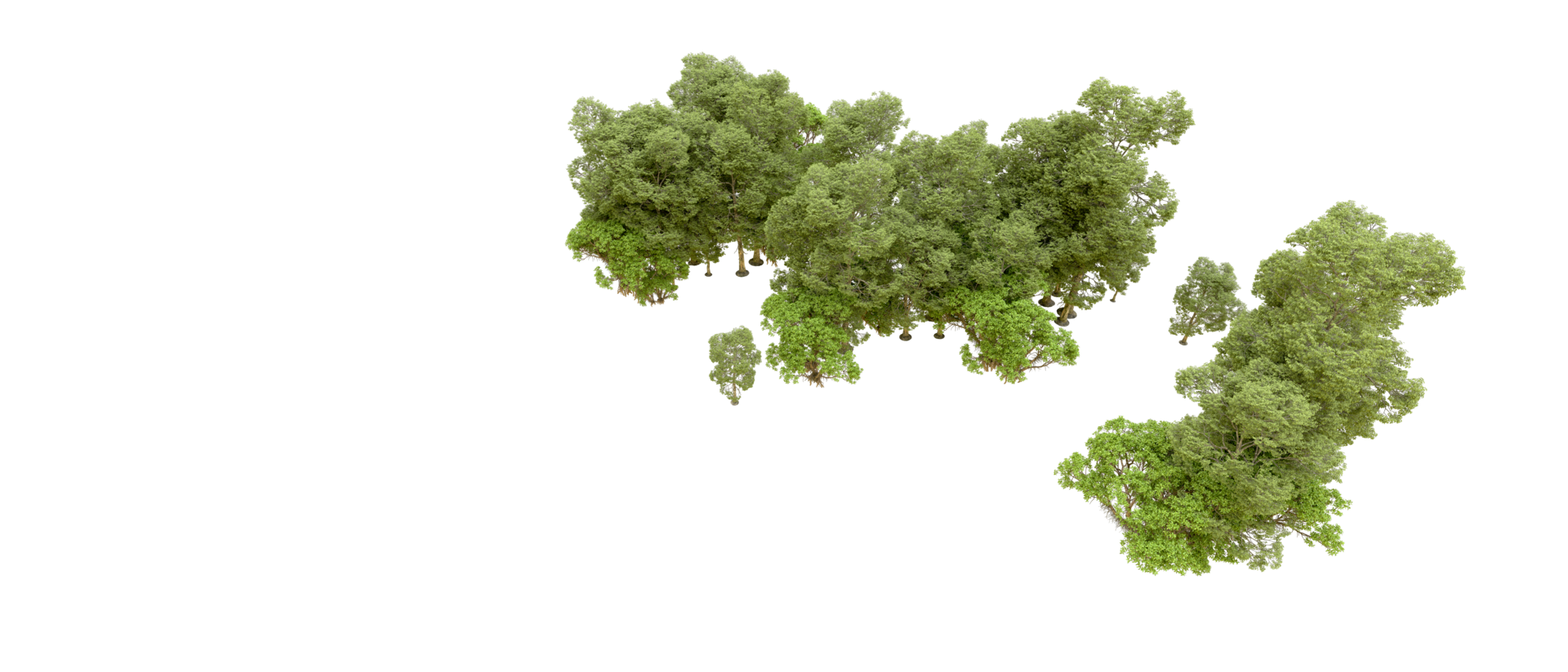 Green forest isolated on background. 3d rendering - illustration png