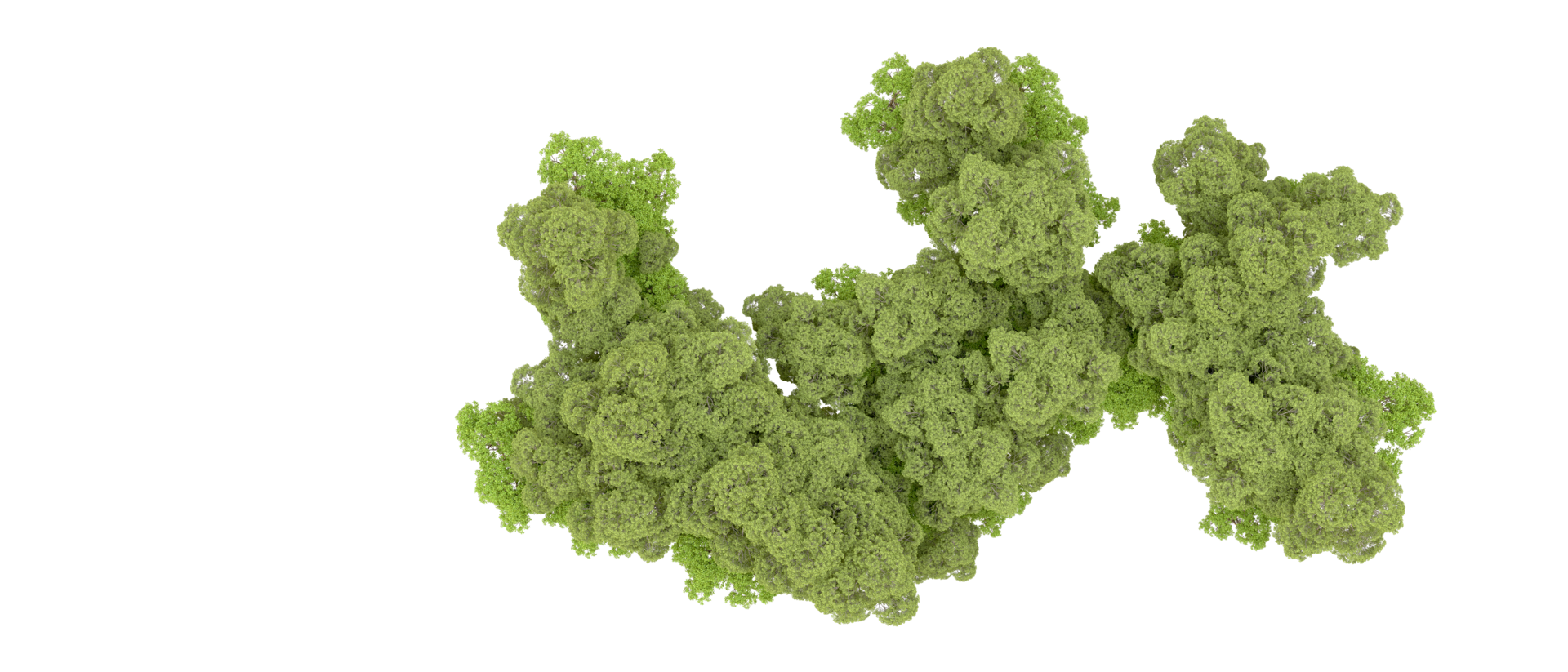 Green forest isolated on background. 3d rendering - illustration png
