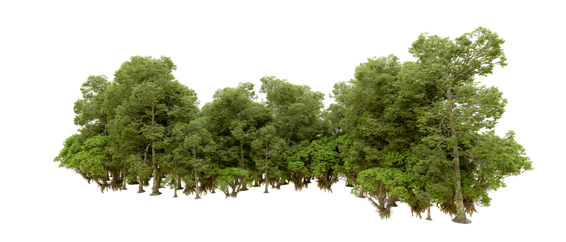 Green forest isolated on background. 3d rendering - illustration png