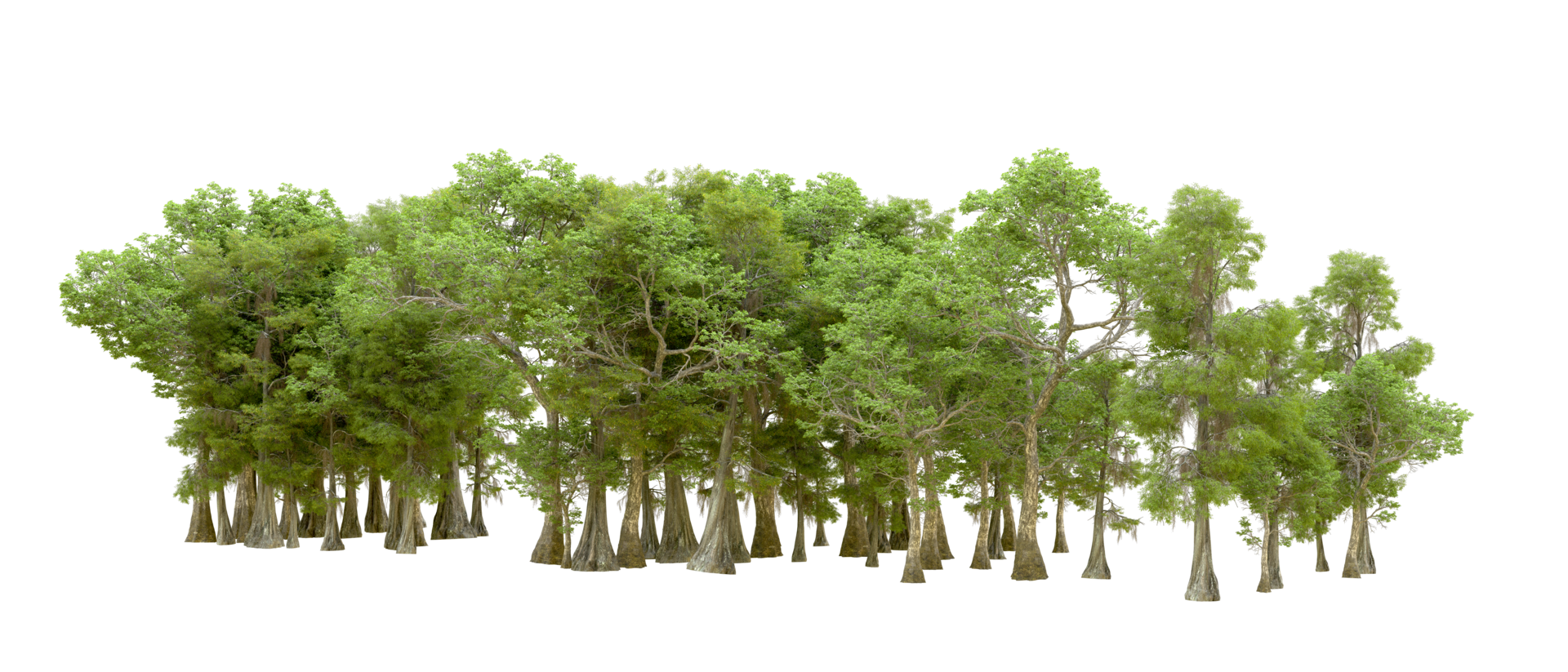 Green forest isolated on background. 3d rendering - illustration png