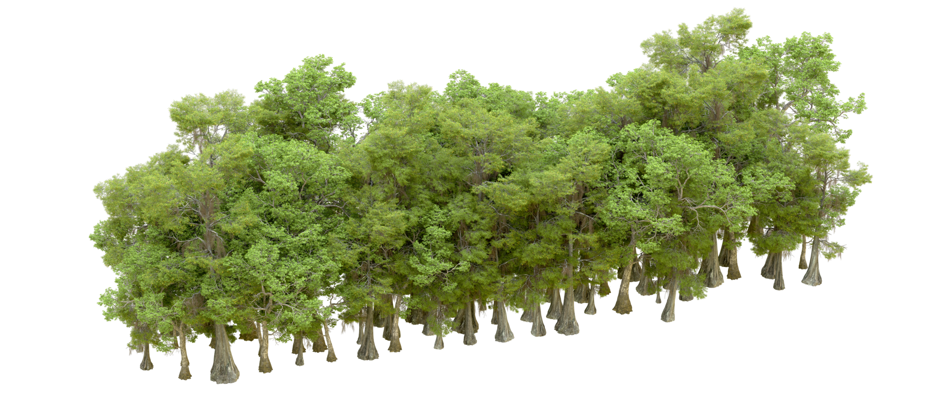 Green forest isolated on background. 3d rendering - illustration png