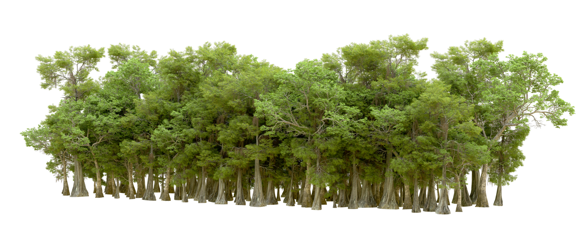 Green forest isolated on background. 3d rendering - illustration png