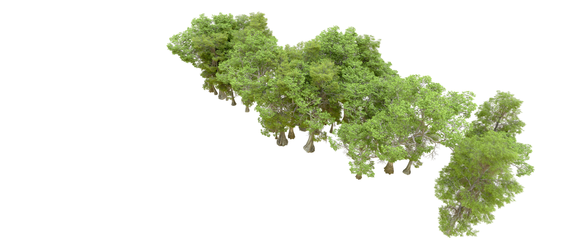 Green forest isolated on background. 3d rendering - illustration png