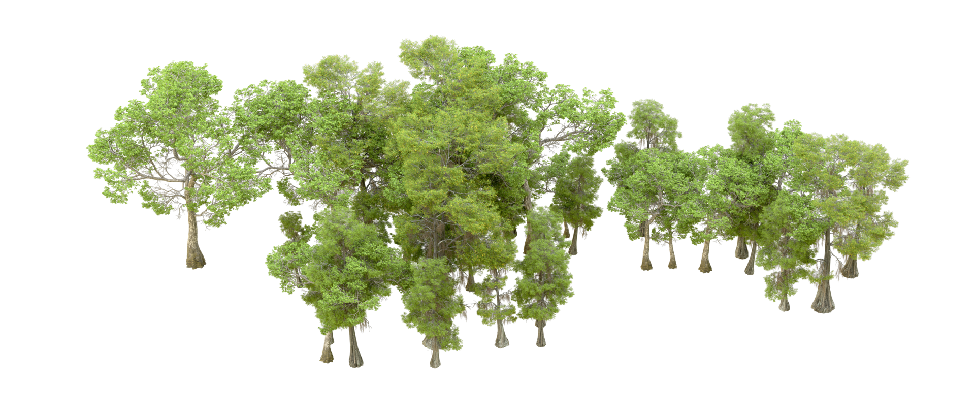 Green forest isolated on background. 3d rendering - illustration png