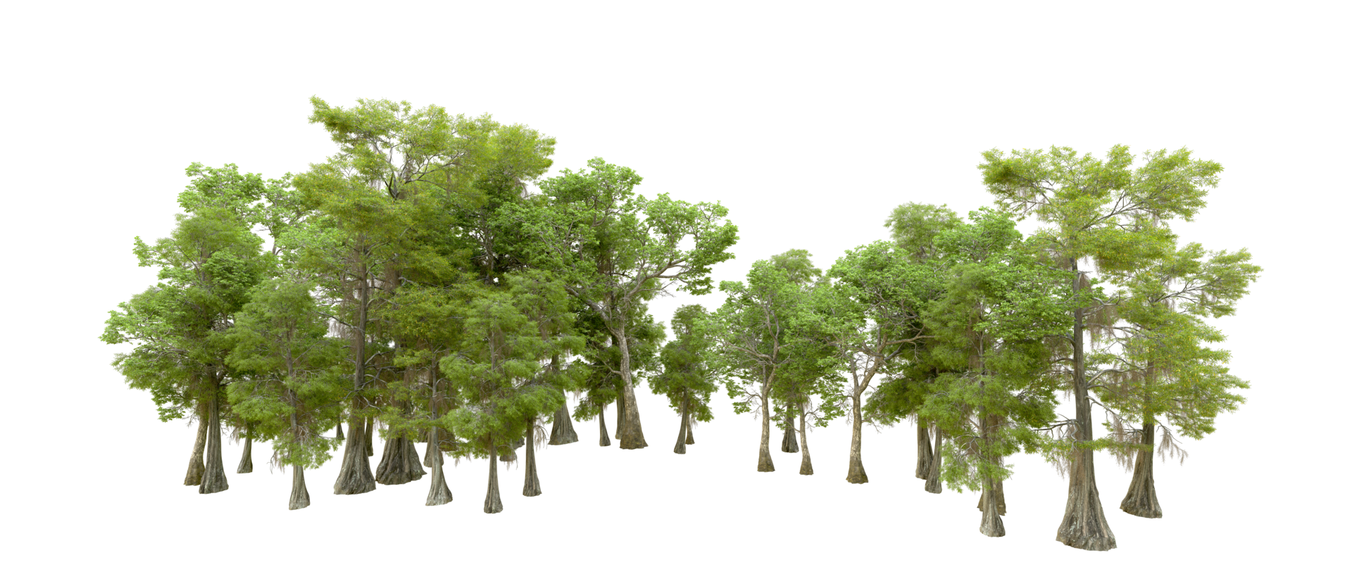 Green forest isolated on background. 3d rendering - illustration png