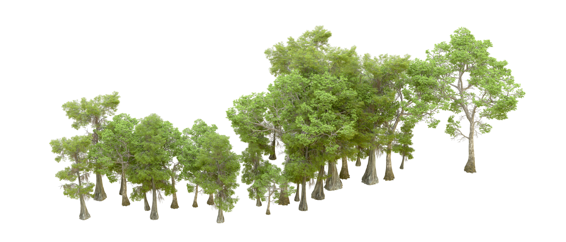 Green forest isolated on background. 3d rendering - illustration png