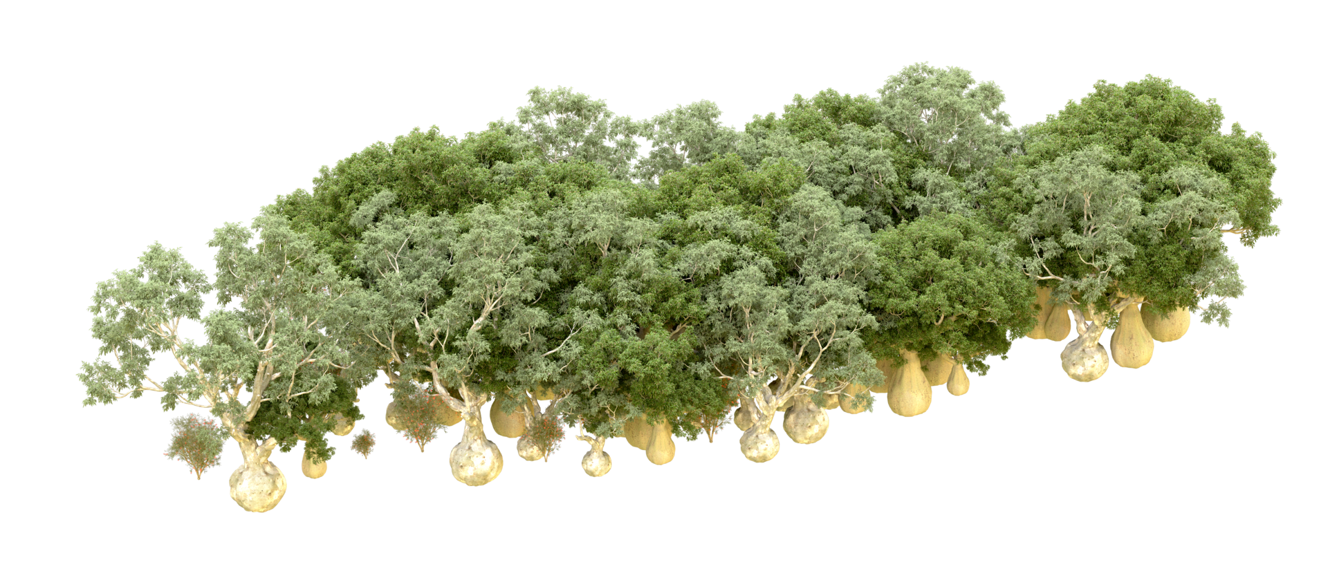 Green forest isolated on background. 3d rendering - illustration png