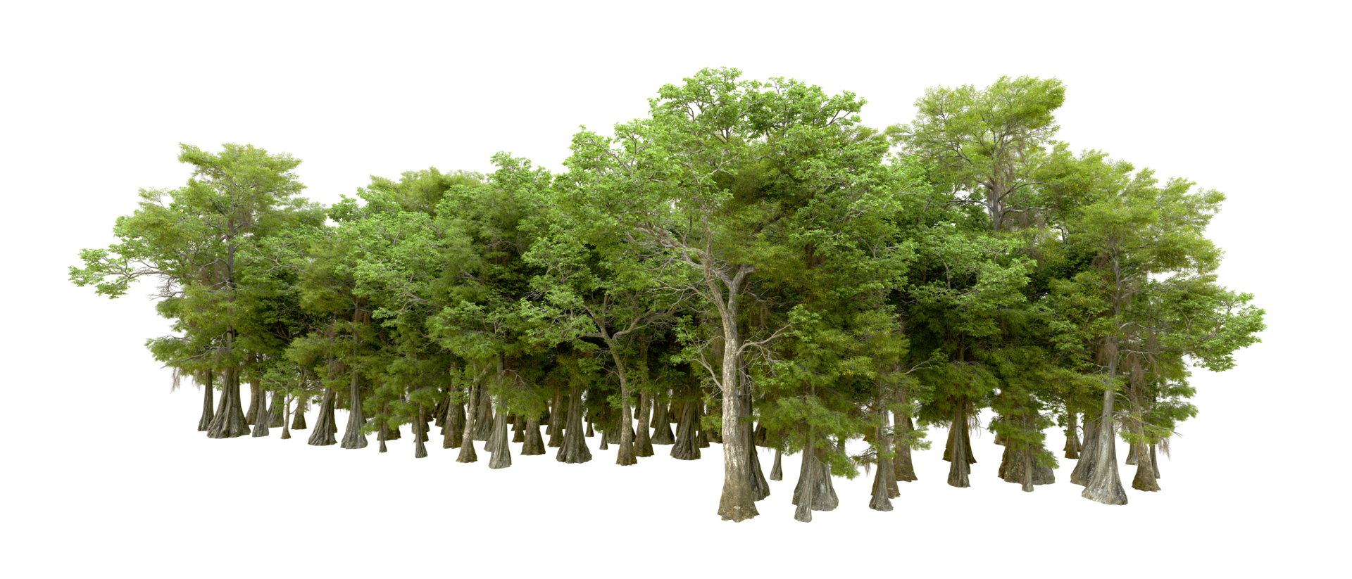 Green forest isolated on background. 3d rendering - illustration png