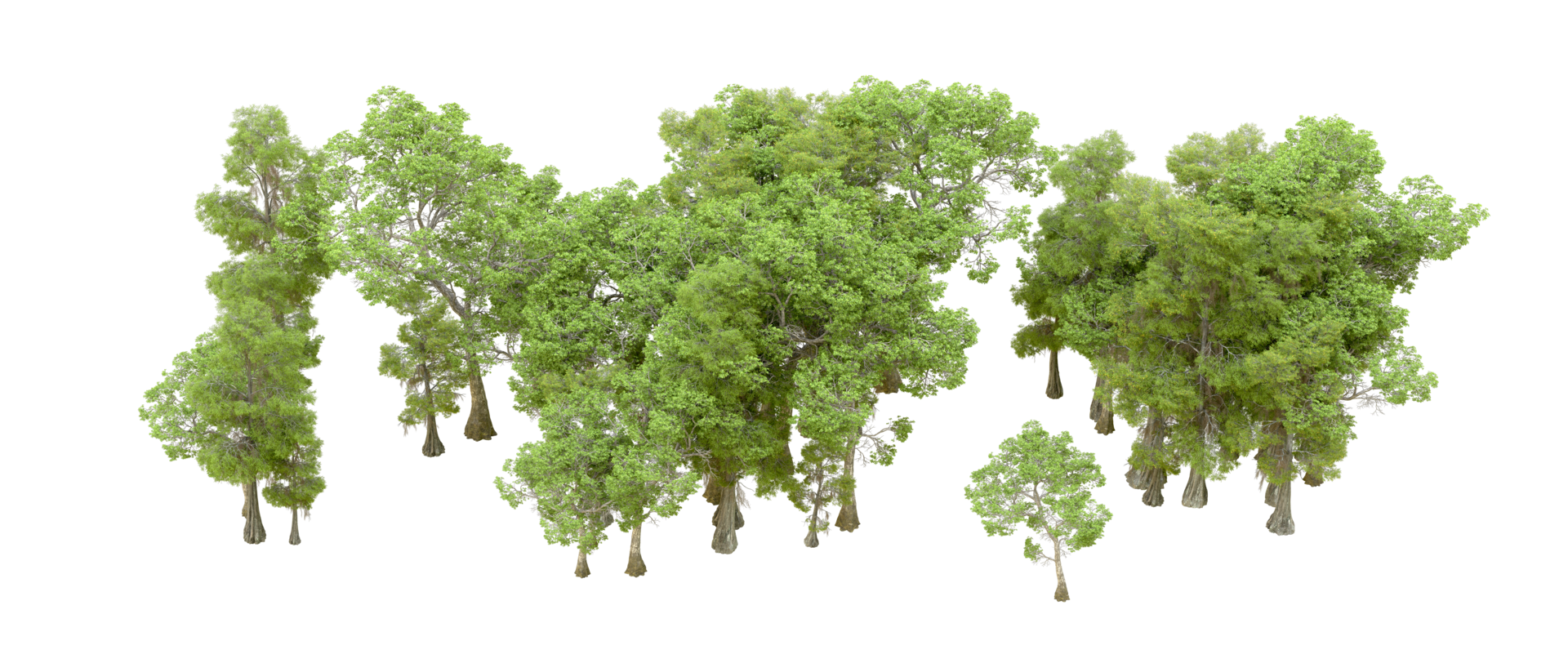 Green forest isolated on background. 3d rendering - illustration png