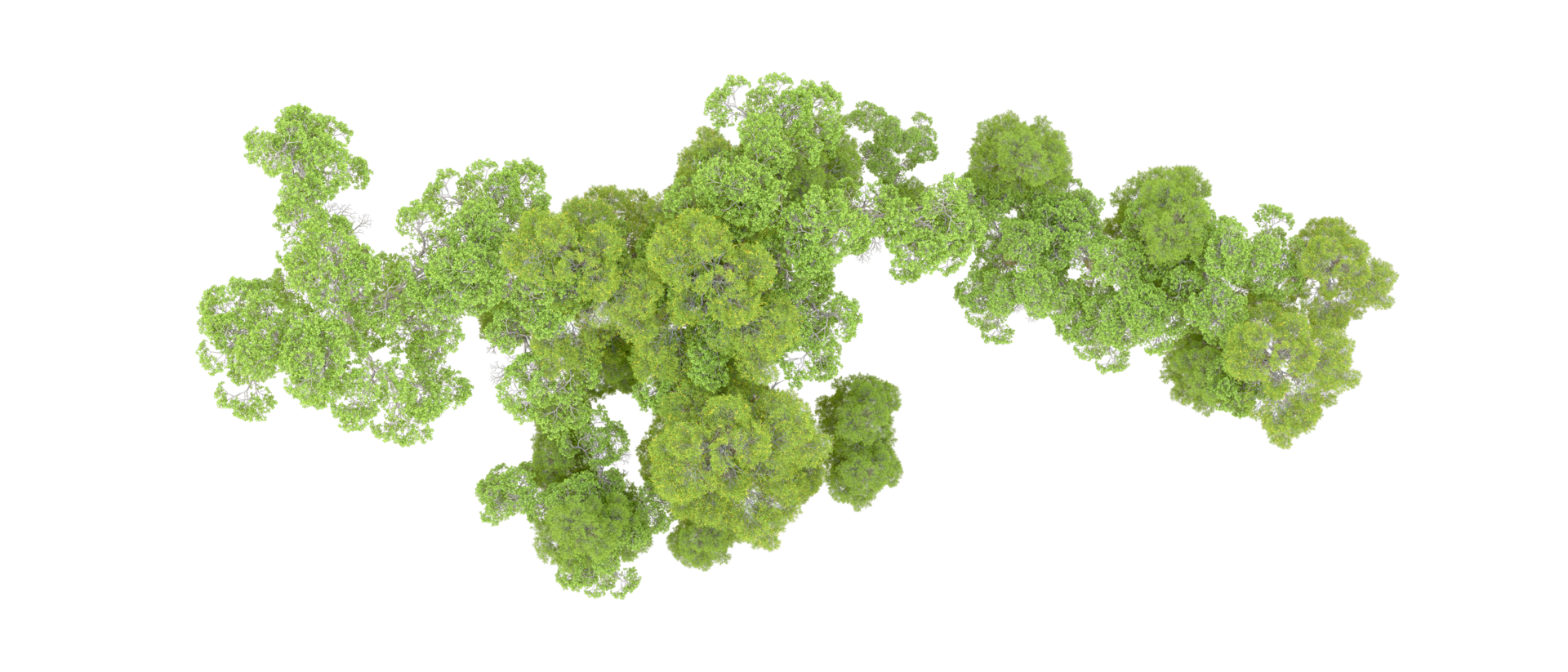 Green forest isolated on background. 3d rendering - illustration png