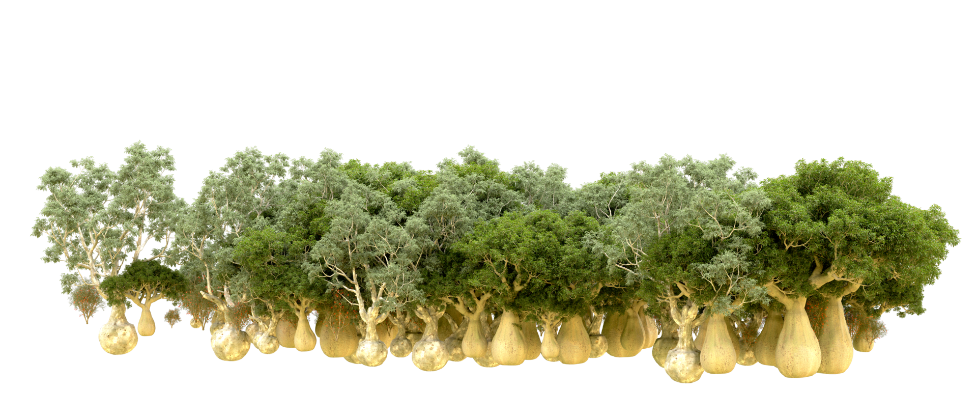 Green forest isolated on background. 3d rendering - illustration png
