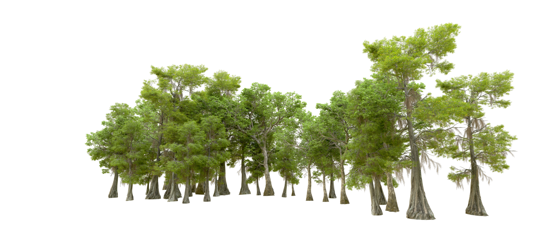 Green forest isolated on background. 3d rendering - illustration png