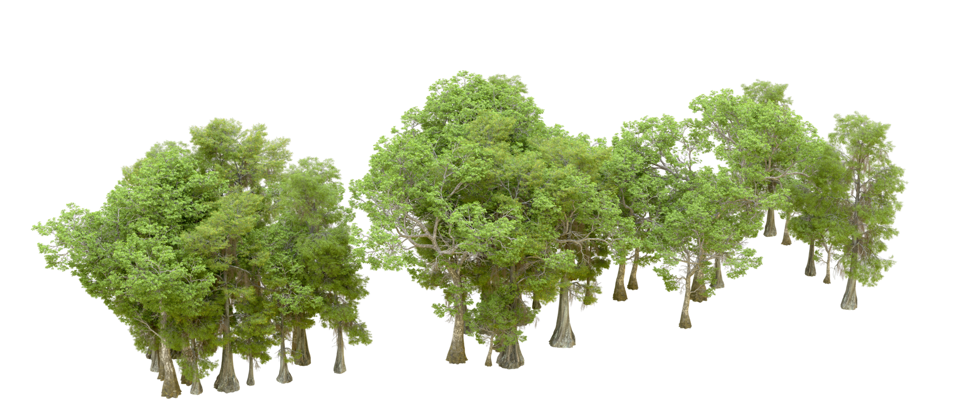 Green forest isolated on background. 3d rendering - illustration png