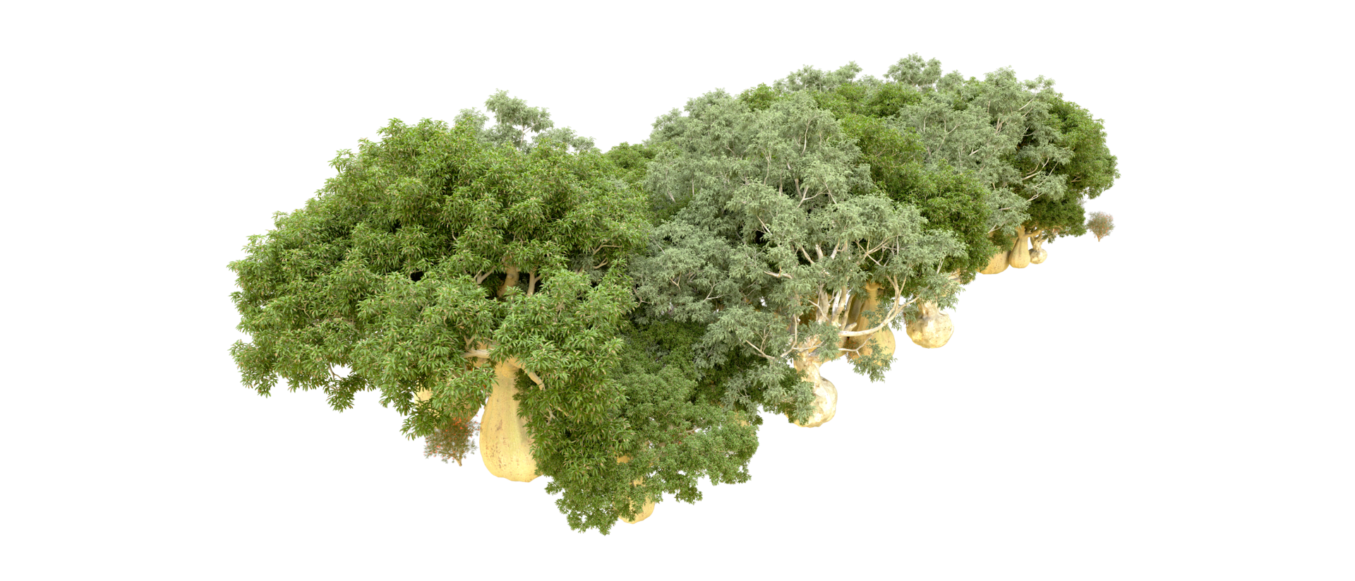 Green forest isolated on background. 3d rendering - illustration png