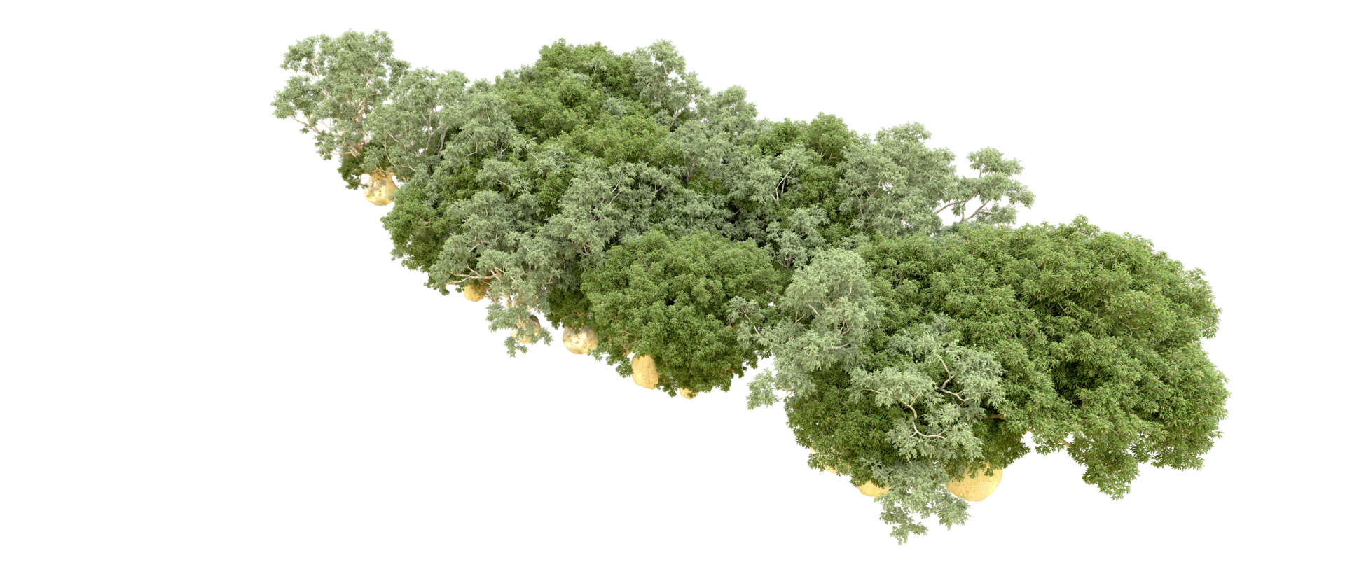 Green forest isolated on background. 3d rendering - illustration png