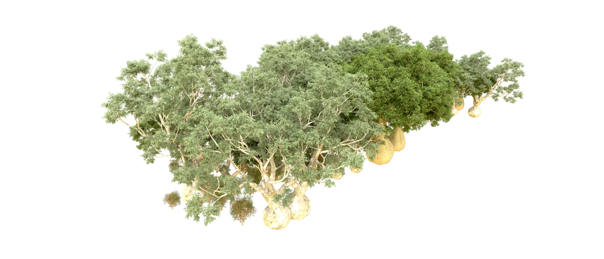 Green forest isolated on background. 3d rendering - illustration png