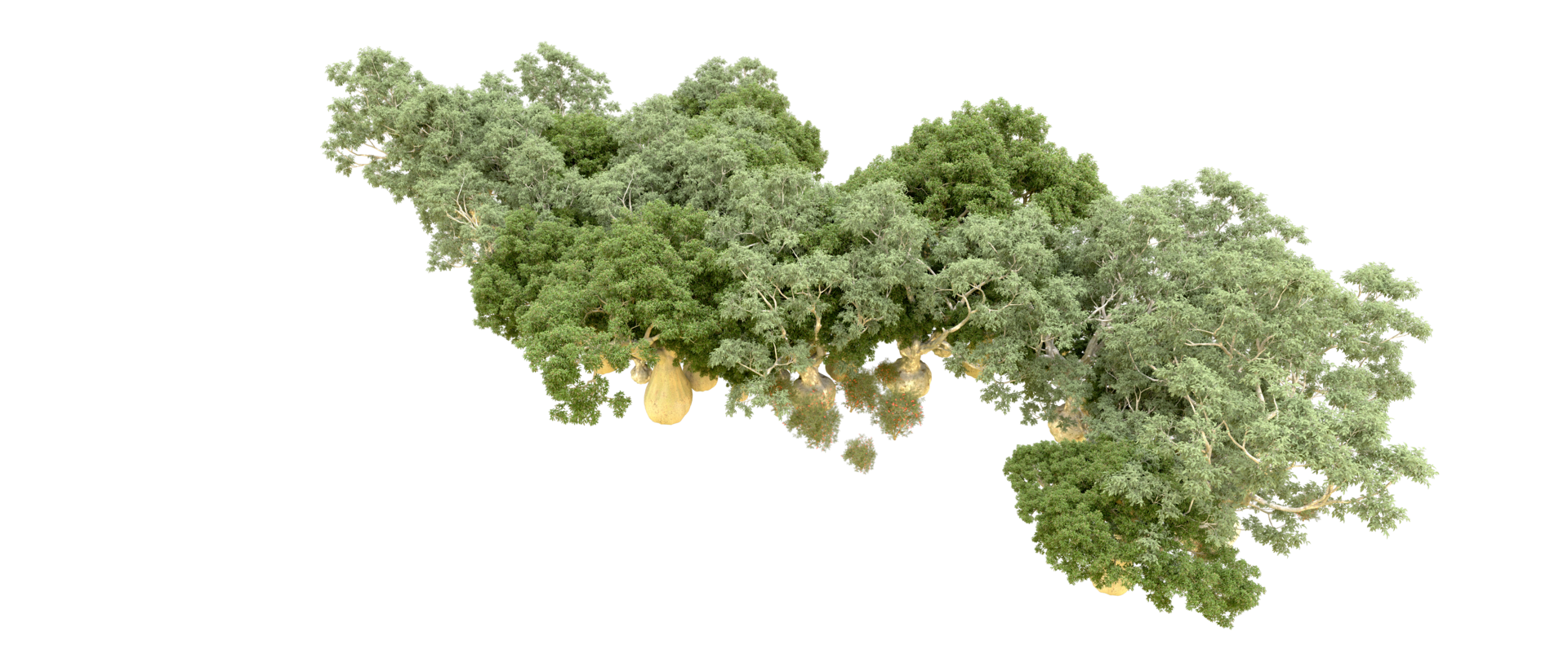 Green forest isolated on background. 3d rendering - illustration png