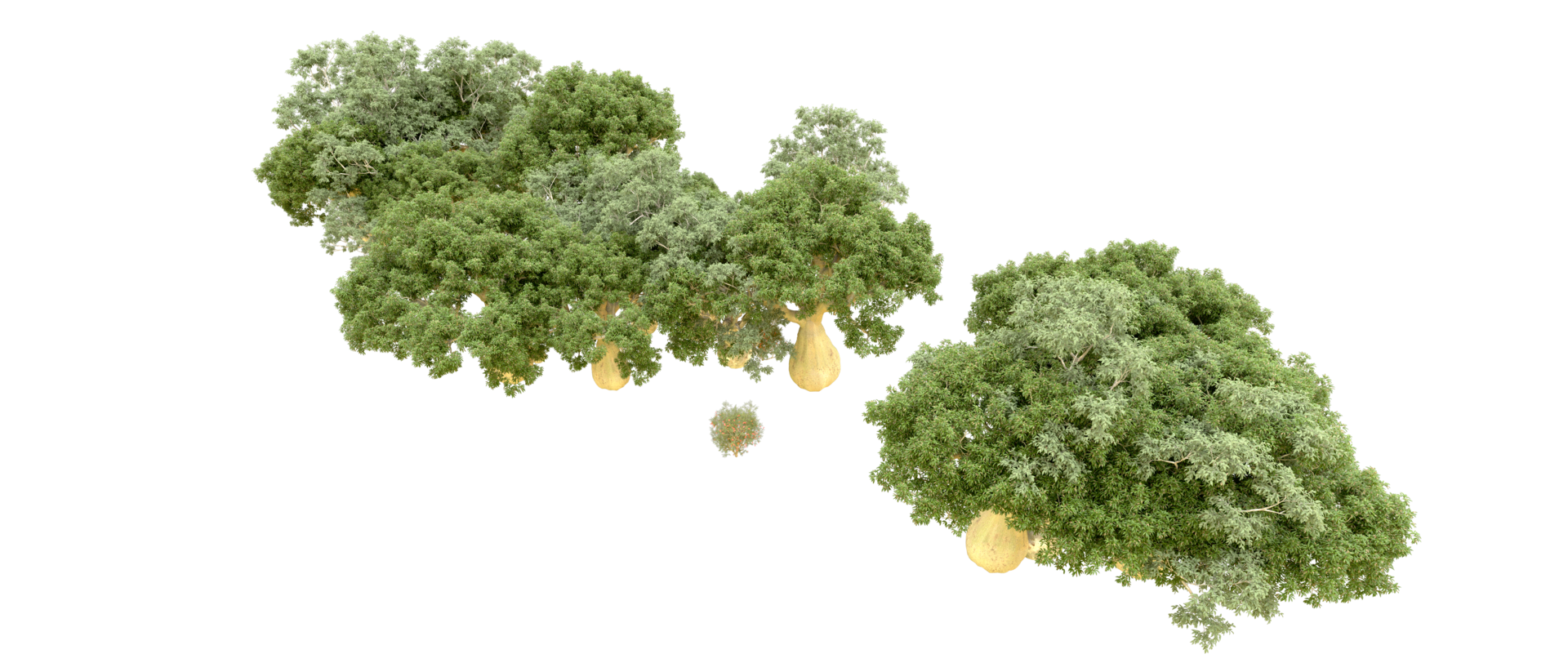 Green forest isolated on background. 3d rendering - illustration png