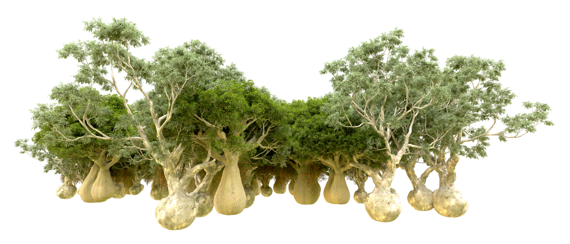 Green forest isolated on background. 3d rendering - illustration png