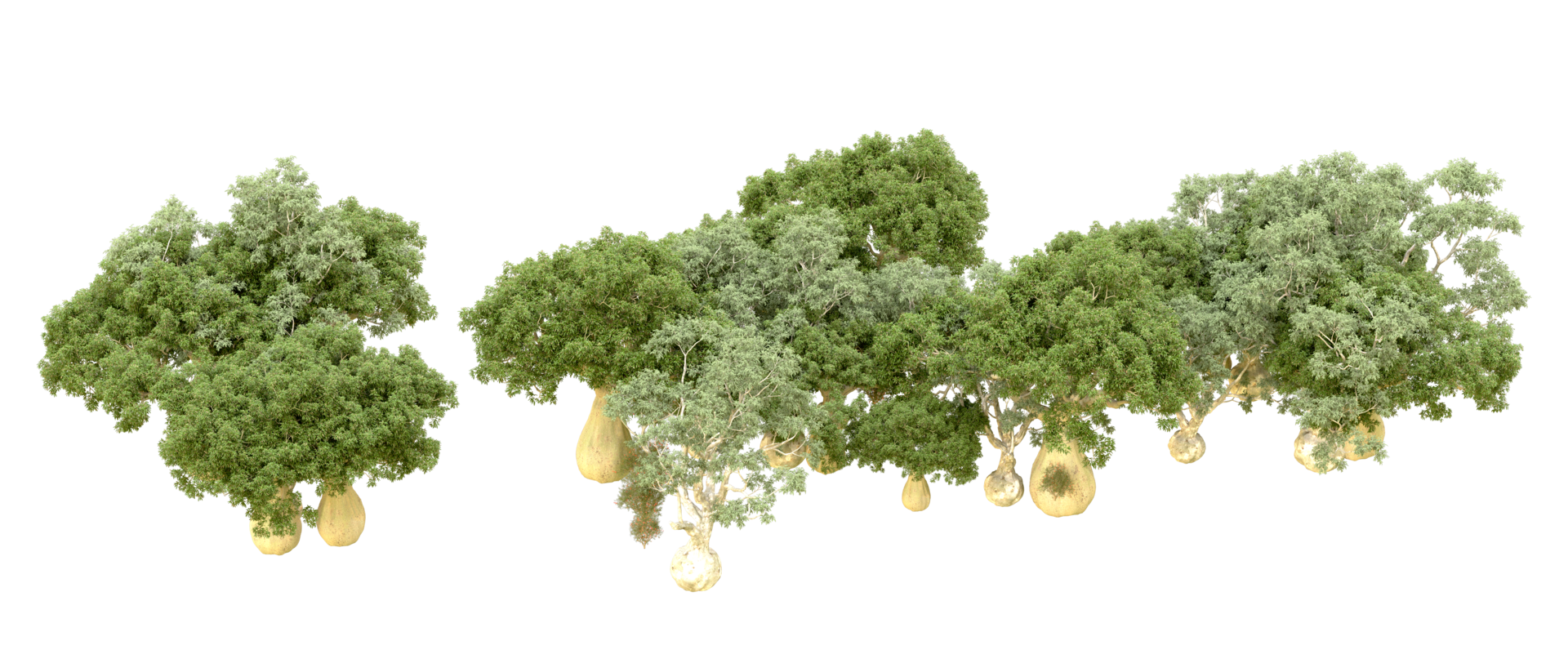 Green forest isolated on background. 3d rendering - illustration png