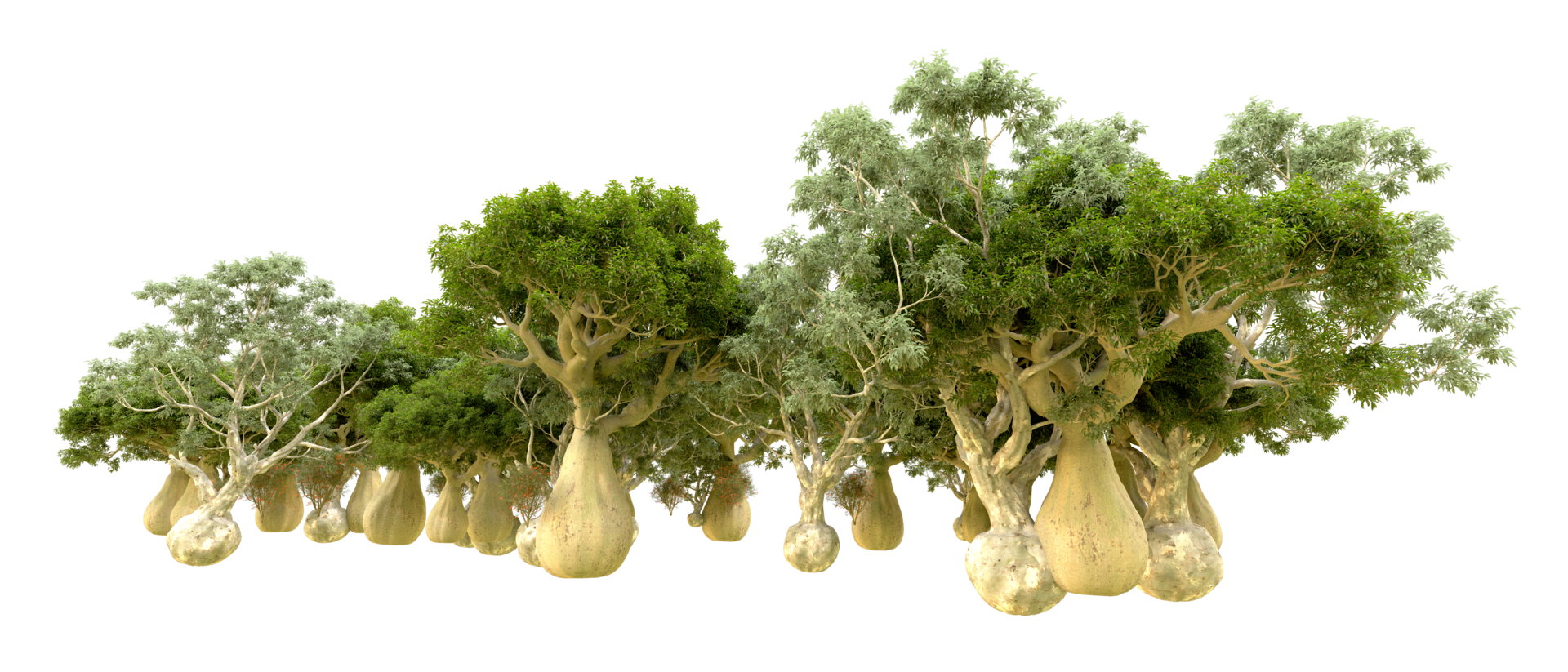 Green forest isolated on background. 3d rendering - illustration png