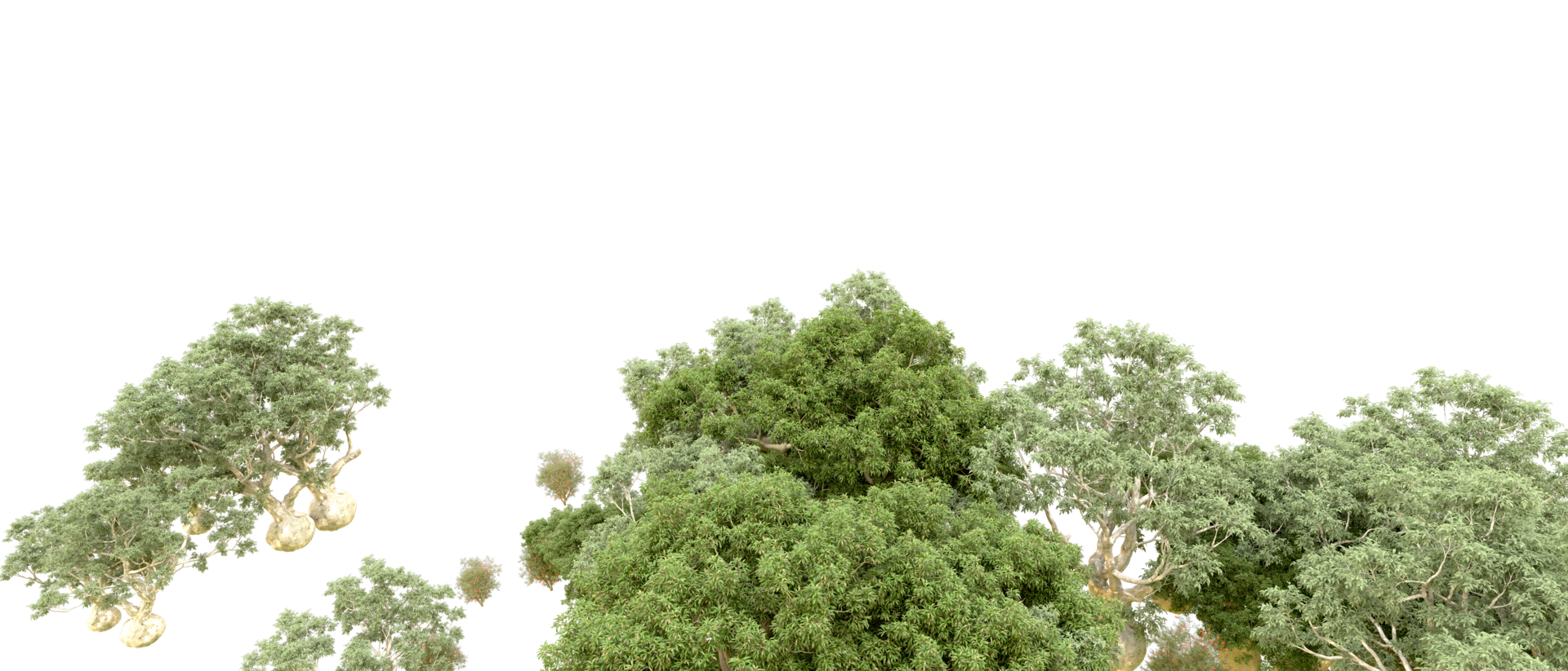 Green forest isolated on background. 3d rendering - illustration png