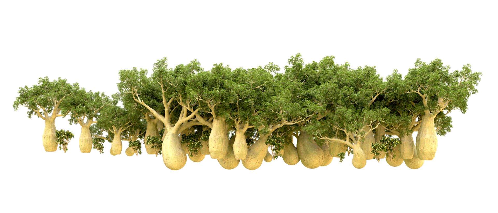 Green forest isolated on background. 3d rendering - illustration png