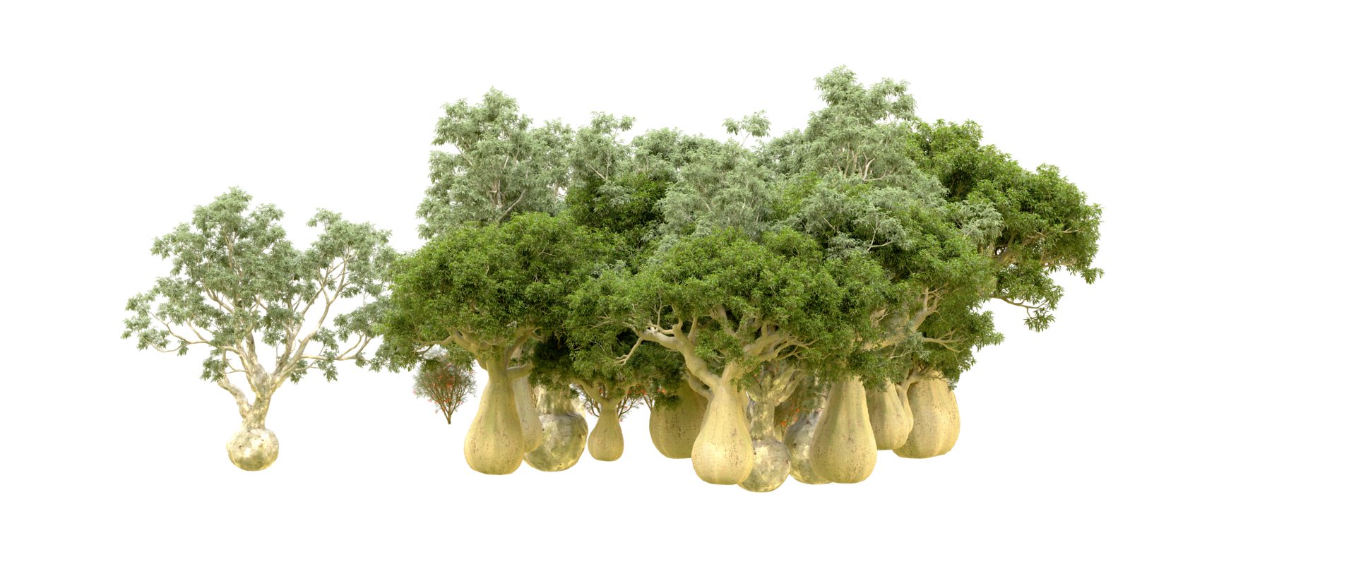 Green forest isolated on background. 3d rendering - illustration png